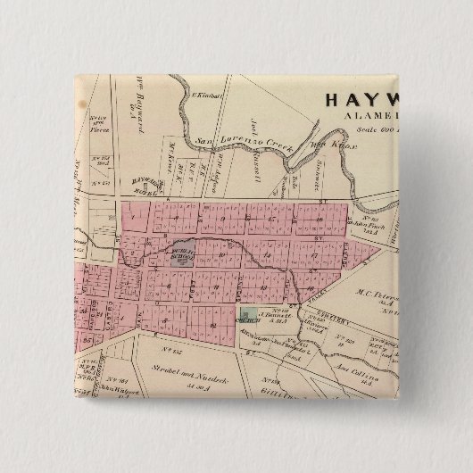 Haywards, Crist tannery Vierkante Button 5,1 Cm (Voorkant)
