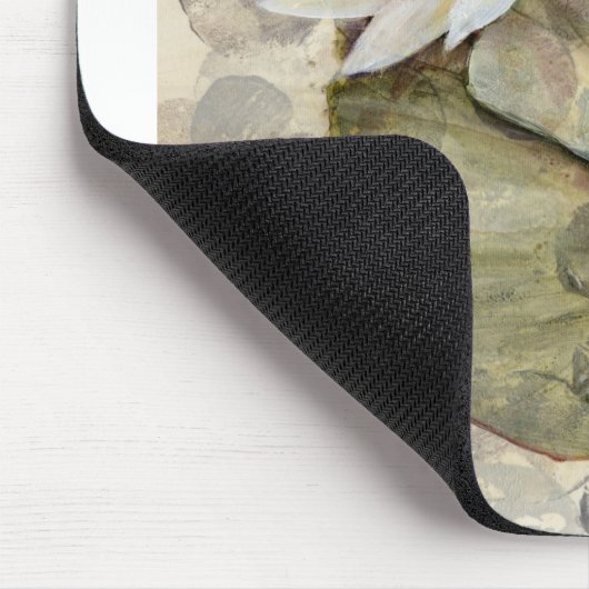 HAZ23 Amazonia 1.tif Muismat (Hoek)