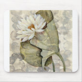 HAZ23 Amazonia 1.tif Muismat (Voorkant)