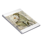 HAZ23 Amazonia 1.tif Notitieboek (Rechterzijde)