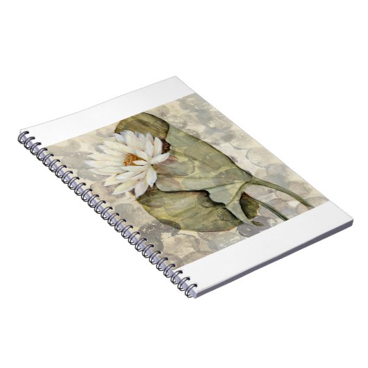 HAZ23 Amazonia 1.tif Notitieboek (Rechterzijde)