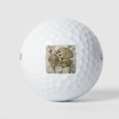 HAZ24 Amazonia 2.tif Golfballen (Voorkant)