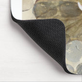 HAZ24 Amazonia 2.tif Muismat (Hoek)