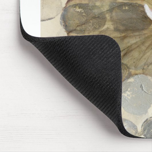 HAZ24 Amazonia 2.tif Muismat (Hoek)