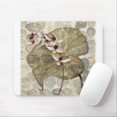 HAZ24 Amazonia 2.tif Muismat (Met muis)