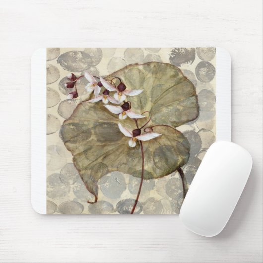 HAZ24 Amazonia 2.tif Muismat (Met muis)