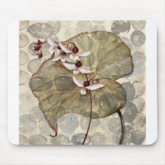 HAZ24 Amazonia 2.tif Muismat (Voorkant)