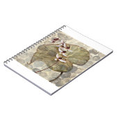 HAZ24 Amazonia 2.tif Notitieboek (Linkerzijde)