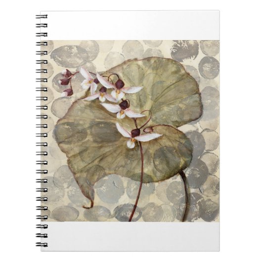 HAZ24 Amazonia 2.tif Notitieboek (Voorkant)