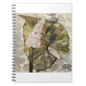 HAZ25 Amazonia 3.tif Notitieboek (Voorkant)