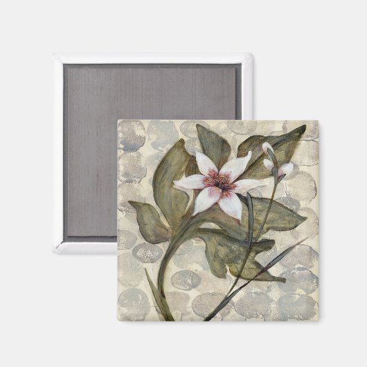 HAZ26 Amazonia 4.tif Magneet (Voorkant / Achterkant)