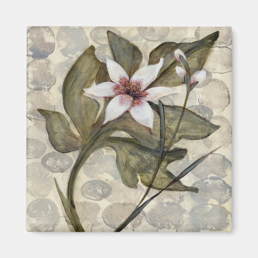 HAZ26 Amazonia 4.tif Magneet (Voorkant)