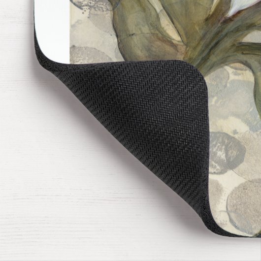 HAZ26 Amazonia 4.tif Muismat (Hoek)