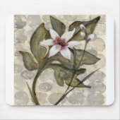 HAZ26 Amazonia 4.tif Muismat (Voorkant)