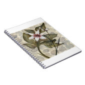 HAZ26 Amazonia 4.tif Notitieboek (Rechterzijde)