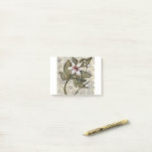 HAZ26 Amazonia 4.tif Post-it® Notes (Op bureau)