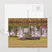 Hazard Briefkaart (Voorkant / Achterkant)