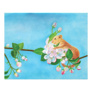 Hazel Dormouse op een bloeiende tak Foto Afdruk