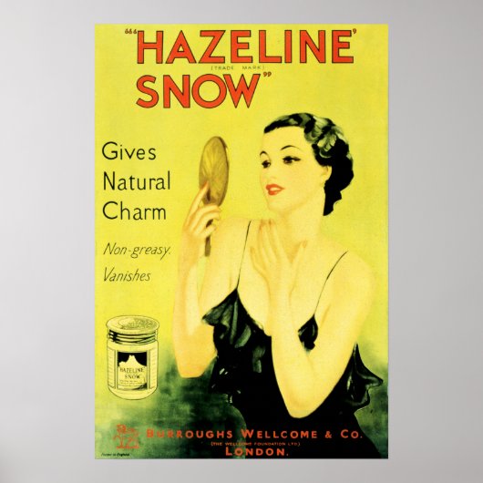 HAZELINE SNOW Cosmetics Face Cam Natural Charm Poster (Voorkant)