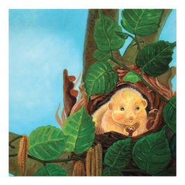 Hazelnoot Foto Afdruk