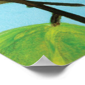 Hazelnoot Poster (Hoek)