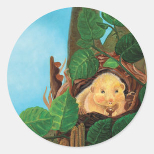 Hazelnoot Ronde Sticker