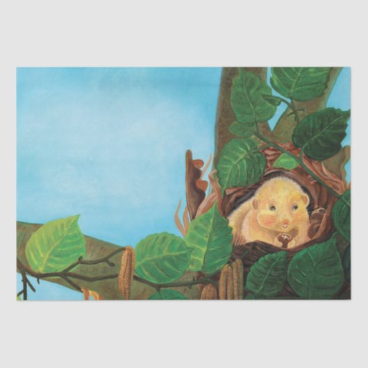 Hazelnoot Tissuepapier (Voorkant)