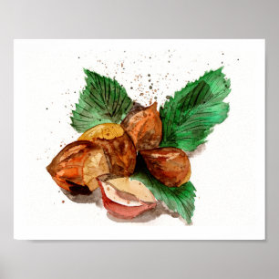 Hazelnoten Aquarel Poster
