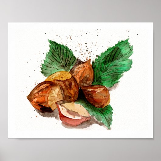 Hazelnoten Aquarel Poster (Voorkant)