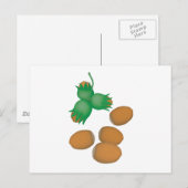 hazelnoten briefkaart (Voorkant / Achterkant)
