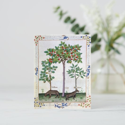 Hazelnoten Struik en Cherry tree Briefkaart (Staand voorkant)