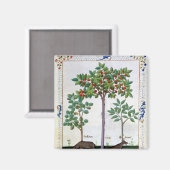 Hazelnoten Struik en Cherry tree Magneet (Voorkant / Achterkant)