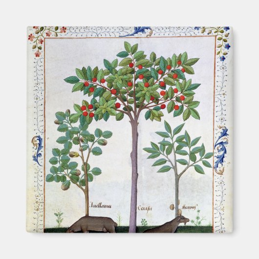 Hazelnoten Struik en Cherry tree Magneet (Voorkant)