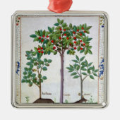 Hazelnoten Struik en Cherry tree Metalen Ornament (Voorkant)