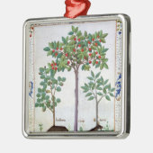 Hazelnoten Struik en Cherry tree Metalen Ornament (Links)
