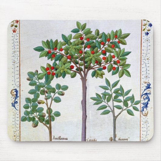 Hazelnoten Struik en Cherry tree Muismat (Voorkant)