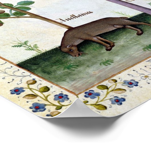 Hazelnoten Struik en Cherry tree Poster (Hoek)