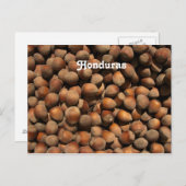 Hazelnuts Briefkaart (Voorkant / Achterkant)