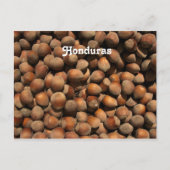 Hazelnuts Briefkaart (Voorkant)