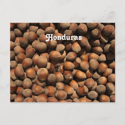 Hazelnuts Briefkaart (Voorkant)