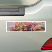Hazelnuts.JPG Bumpersticker (Op auto)