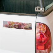 Hazelnuts.JPG Bumpersticker (Op Truck)