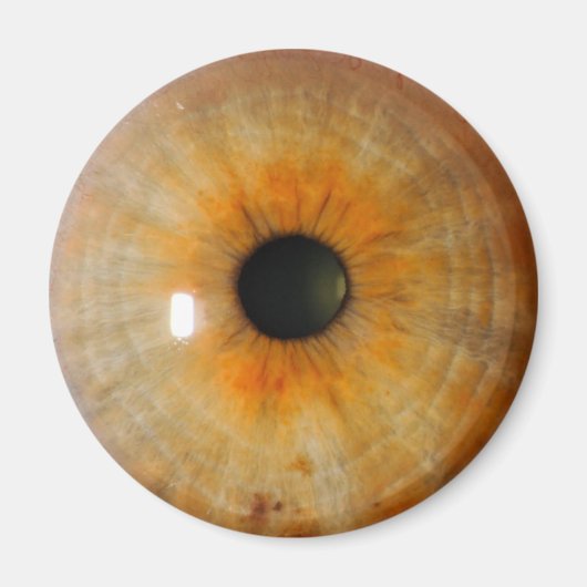 hazeloog met frecusieten magneet (Voorkant)