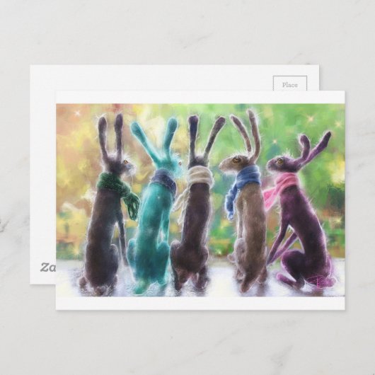 Hazen met sjaals briefkaart (Voorkant / Achterkant)