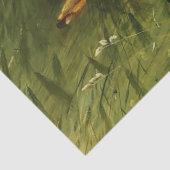 Hazen Tissuepapier (Detail)