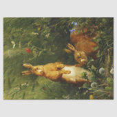 Hazen Tissuepapier (Voorkant)