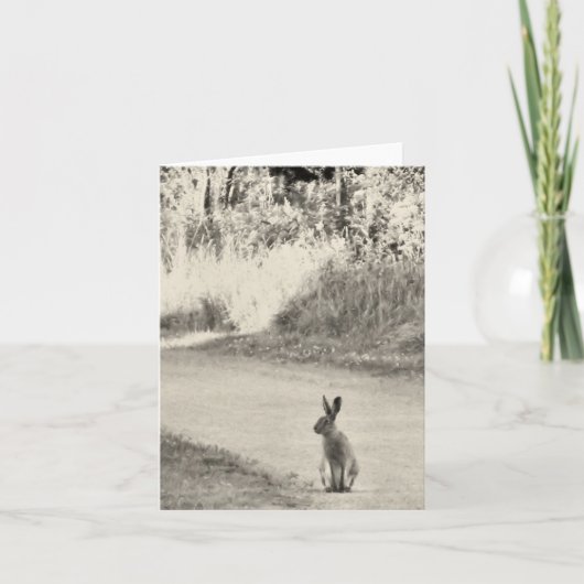 Hazen vandaag kaart (Voorkant)