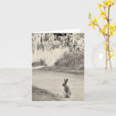 Hazen vandaag kaart (Gele Bloem)