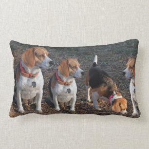 Hazenjachten Hoe meer hoe liever Beagle Kussen