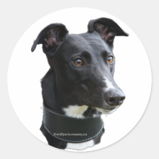 hazewindhond-sticker ronde sticker